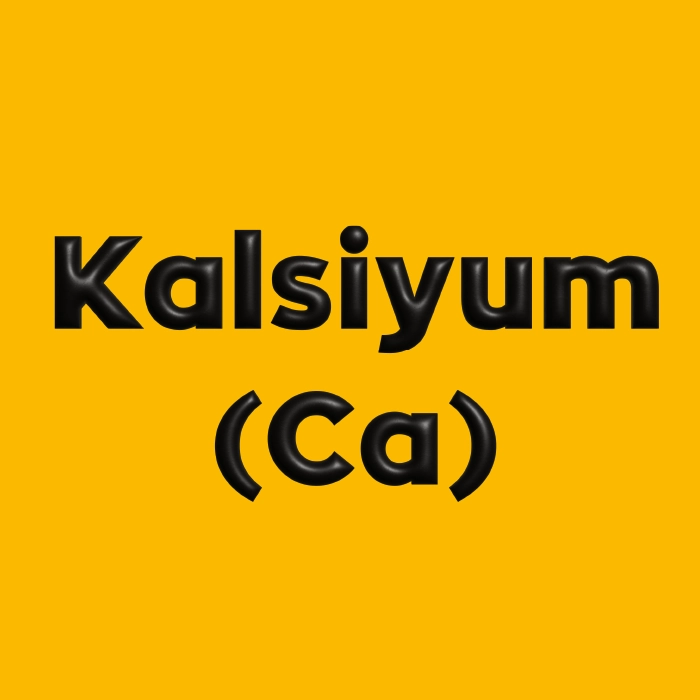 Kalsiyum (Ca)