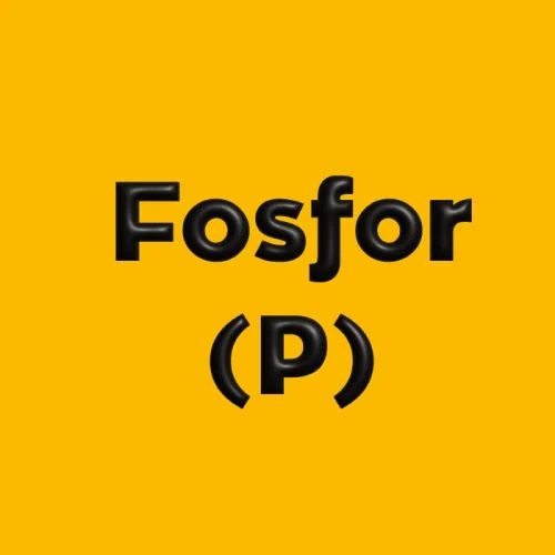 Fosfor (P)