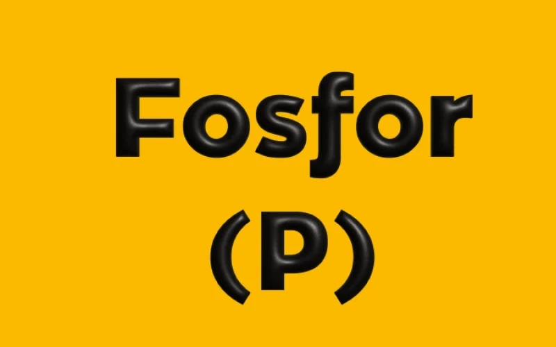 Fosfor (P)