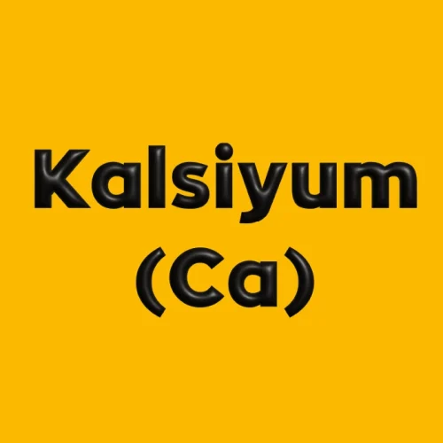 Kalsiyum (Ca)