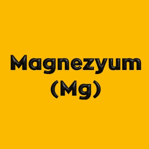 Magnezyum (Mg)