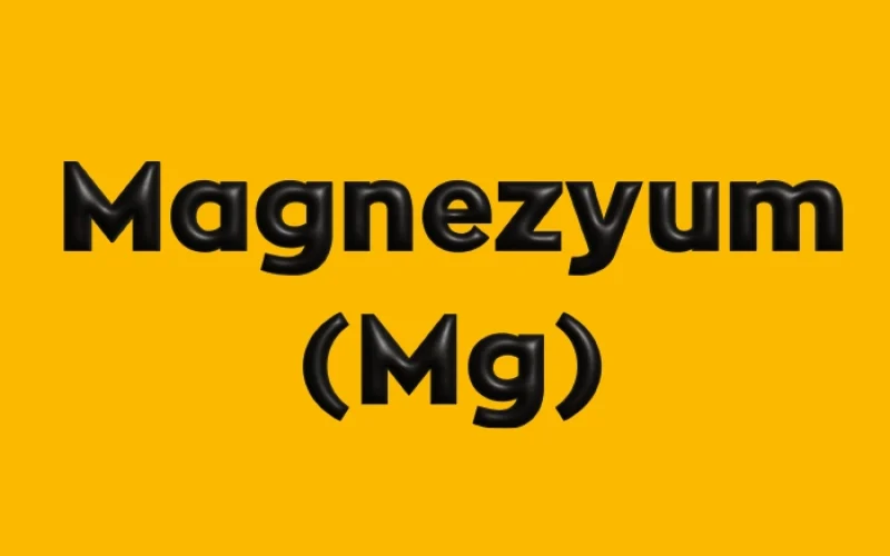 Magnezyum (Mg)