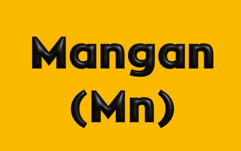Mangan (Mn)