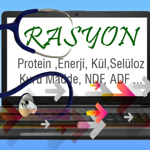 Yemde Rasyon Nedir ? Nelere Dikkat Etmeli ?